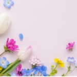 3月・4月の休診日のお知らせ