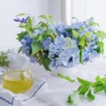 ６月・７月の休診日のお知らせ